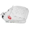 Rawlings 12.5" PRO125SB-3W Heart Of The Hide Fastpitch Glove -Home Run Gear PRO125SB 3W 3