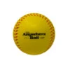 Anywhere Ball - SB/BB Foam Training Balls -Home Run Gear anywhereball
